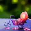 najmanabi901 - @najmanabi901 - TikTok