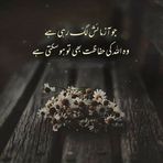 Najma Saeed - Facebook