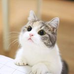 Najma Saeed - @najma.saeed.399826 - Instagram