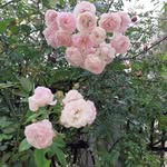 najma saeed - @najma__begam - Instagram