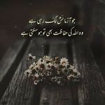 Najma Saeed - @najmasaeed66 - Instagram