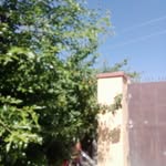 Ñajma Shah - @najmashah310 - Instagram
