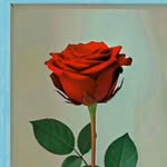 Najma shaikh - @najma65569 - Instagram