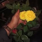 Najma Shaikh - Facebook