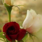 Najma Shams - Facebook