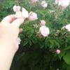 Najma Syed - @najma.syed0 - TikTok