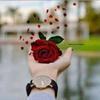 Najma Syed - @userrpbf76vfya - TikTok