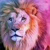 najmaasyed - @najmaasyed - TikTok