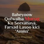 Najmo  Mohamed - @najmomoh - Instagram