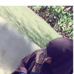 Najmo mohamed - @najmamohammed26 - Instagram