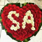 najmoshire1 - @najmosho - Instagram