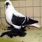 Najmul alam - Facebook