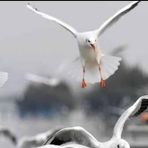 Najmul Alam - Facebook