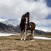 Naja Imfeld - Facebook