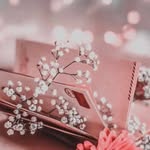 Najwa Ben Taleb - @najwant12 - Instagram