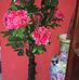 Nakeisha Watson - Facebook
