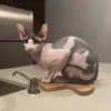 Nakey Norman - @nakeynorman - TikTok
