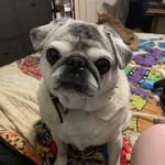 Nakia Lee - @aurora_b2020 - Instagram