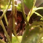 nakia mason - @nakiam66gmail - Instagram