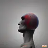 shannonhnakiae - @shannonhnakiae - TikTok