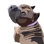 Nakia the Sharpibble - @nakia.the.sharpibble - Instagram