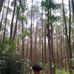 Niko West - Facebook
