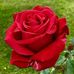 Nakia Wyatt - Facebook