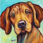 Nala Bug Sullivan - @nala_the_rhodesian - Instagram