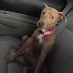 Nala Sullivan - @nala_ballaaaaa - Instagram