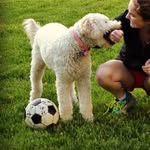 Nala Sullivan - @doodnala - Instagram