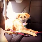 Nala Sullivan - @nala_sully - Instagram