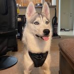 Nala Wright - @nalaomo - Instagram