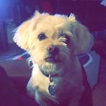 Nala Wright - @nala.wright - Instagram