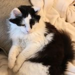 Nala Wright - @nalawrightofficial - Instagram