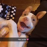 Nala Wright 🐾 - @nalawalaslife - Instagram