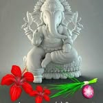Nalin Mehta - @nalin.mehta.7547 - Instagram