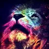 Nalin Verma - @tttttyuvrajtttttt - TikTok