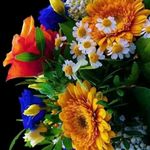 Nalini Kumar - @nalinikumar604 - Instagram