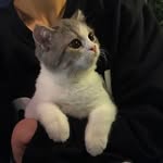양 단 보 - @namnh_u - Instagram