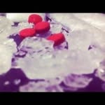 NamNhu NamNhu - @namnhunamnhu - Instagram