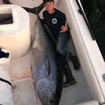 Nam Vu - @biggamehunna_ - Instagram