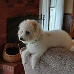 Nan Allen - @nanettebrank - Instagram