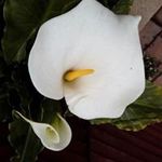 Nan Campbell - @nan.campbell.986 - Instagram