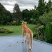 Nan Cooper - Facebook