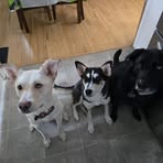 Nancy Hoffman - Facebook