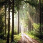 Nan Roberts - @nansk1 - Instagram
