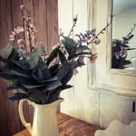 Nans Cottage Cumbria - @nanscottagecumbria - Instagram