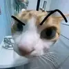 Nani Simpson - @nani.simpson - TikTok