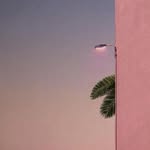 Dorcas Poetter - @nansteinmann506 - Instagram