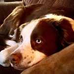 Nan Steinley - @steinleynan - Instagram